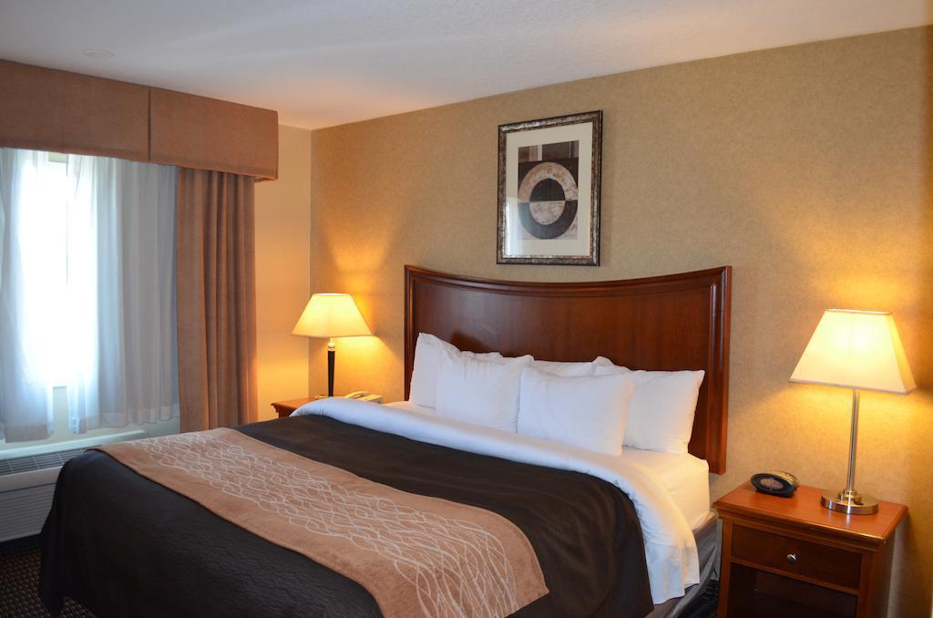 Comfort Inn & Suites Vancouver Downtown City Center Exterior foto